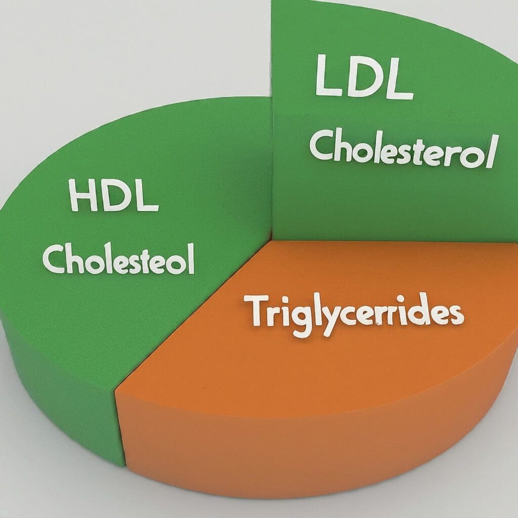 Pie chart illustrating different types of cholesterol: LDL (red, high levels can be bad), HDL (green, good cholesterol), and Triglycerides (orange)